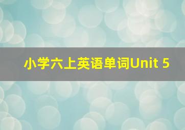 小学六上英语单词Unit 5